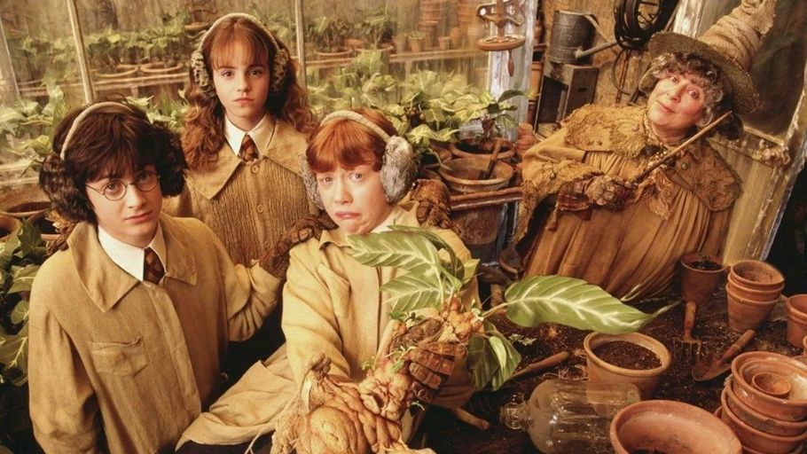 Harry Potter y la camara secreta 2002